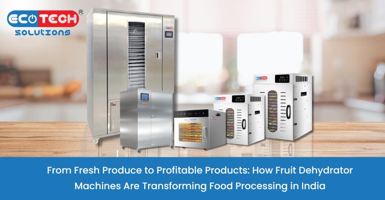 Fruit Dehydrator Machine