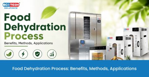 Food Dehydration Process using an industrial food dehydrator for drying fruits and vegetables efficiently.