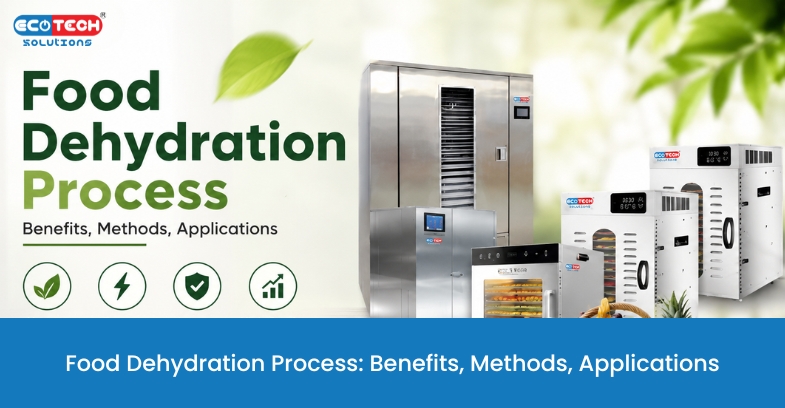 Food Dehydration Process using an industrial food dehydrator for drying fruits and vegetables efficiently.