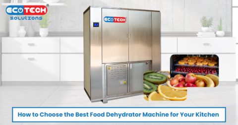 EcoTech's Best Food Dehydrator Machine for Your Kitchen