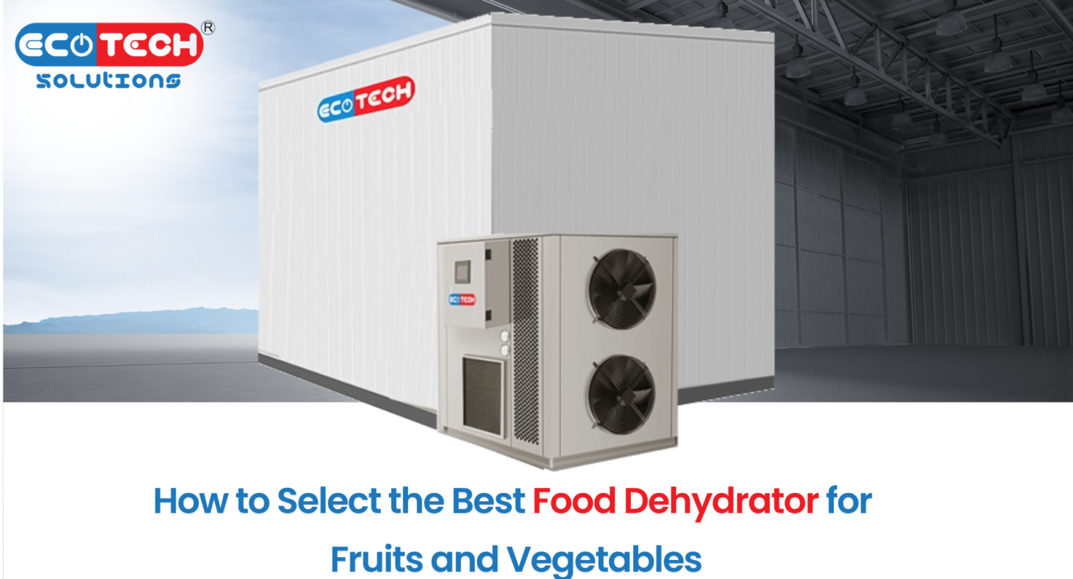 Food Dehydrator for Fruits and Vegetables