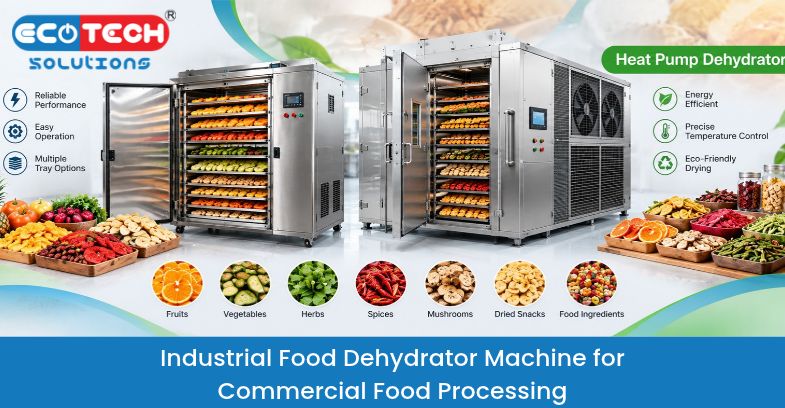 Industrial Food Dehydrator Machine for Commercial Food Processing