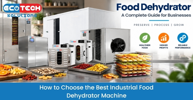 Industrial food dehydrator machine for efficient food drying