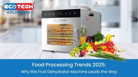 Fruit Dehydrator Machine